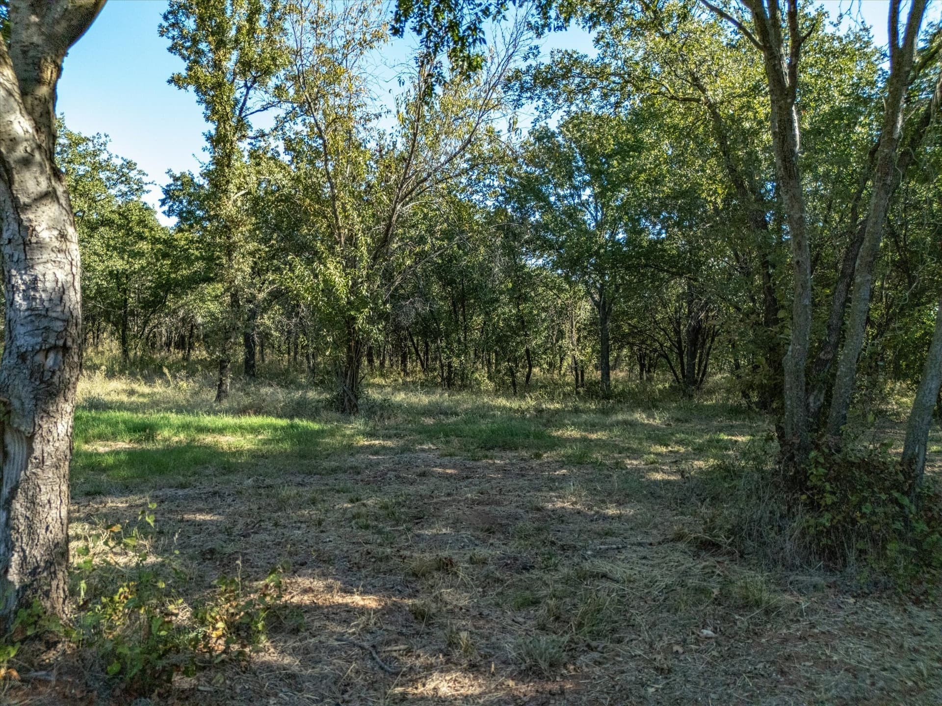28.21 acres in Montague County - photo 31