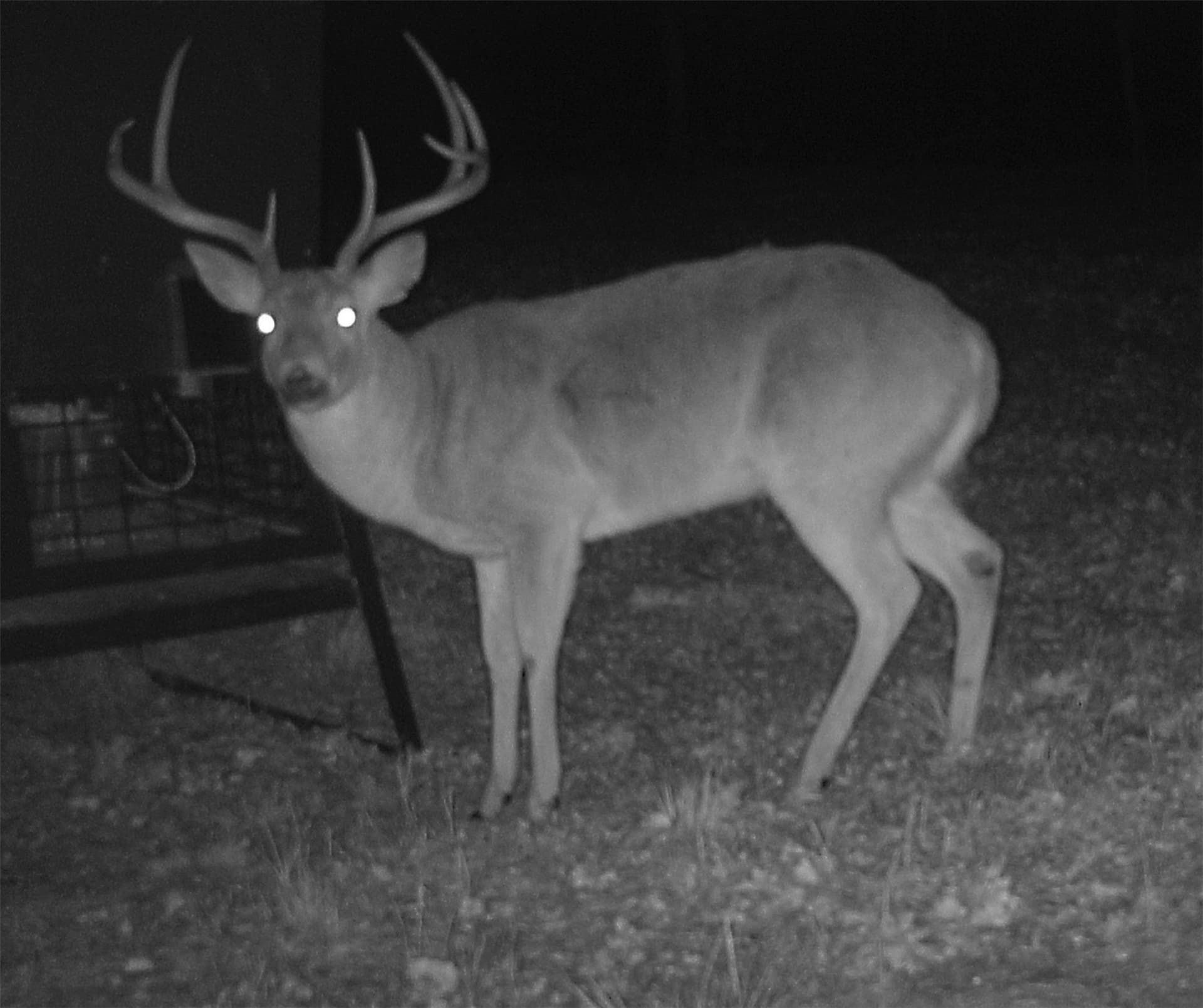 28.21 acres in Montague County - photo 40