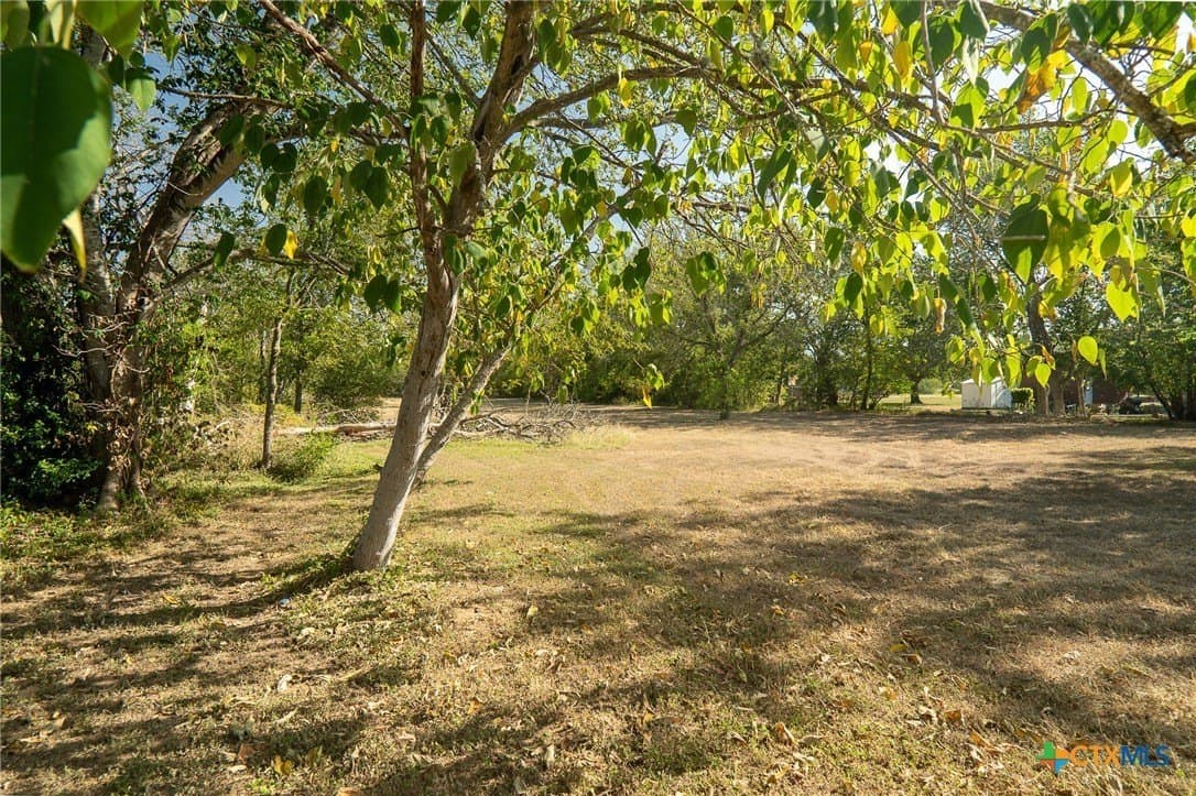 0.5 acres in Bastrop County - photo 2