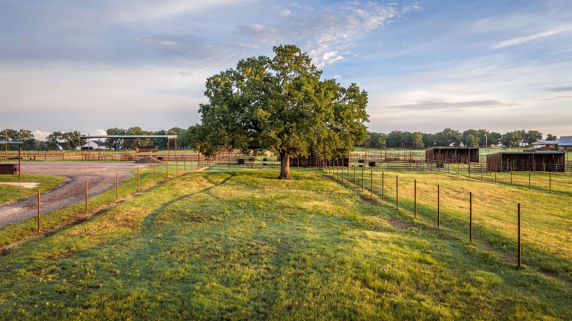 11.75 acres in Erath County - photo 33