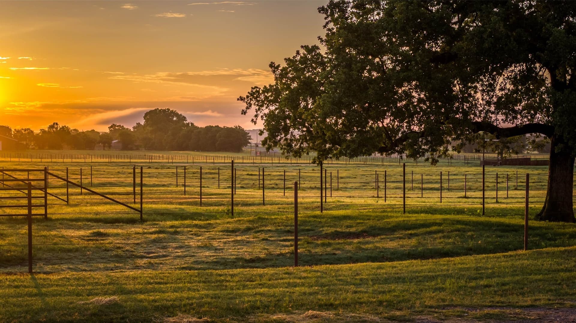 11.75 acres in Erath County - photo 39