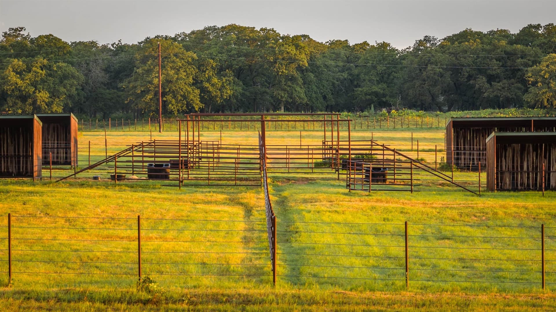 11.75 acres in Erath County - photo 37