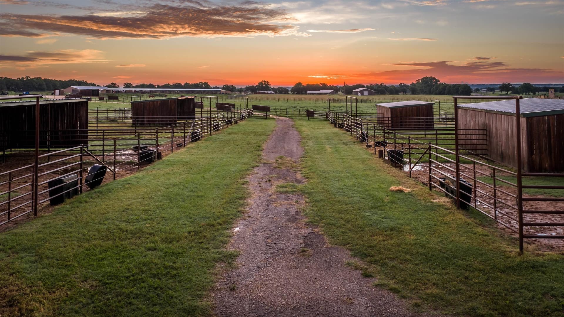 11.75 acres in Erath County - photo 35