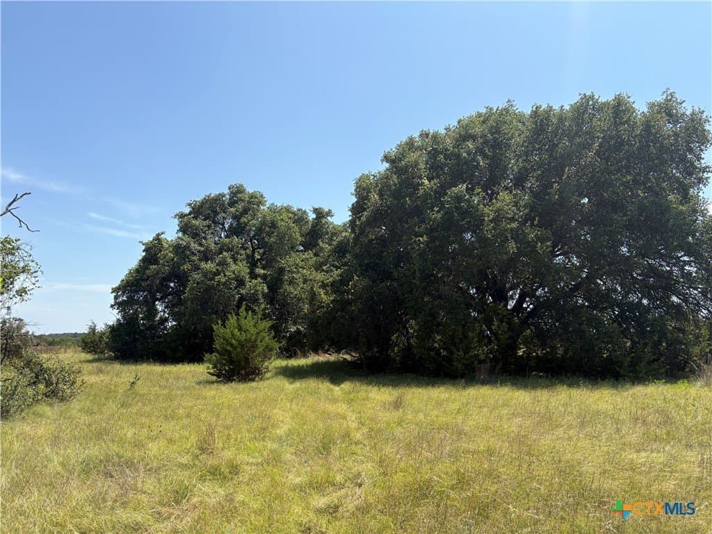 20 acres in Lampasas County - photo 6