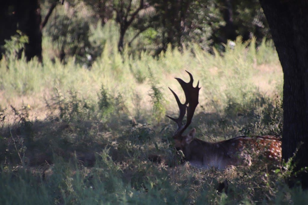 186 acres in Edwards County gallery image 2