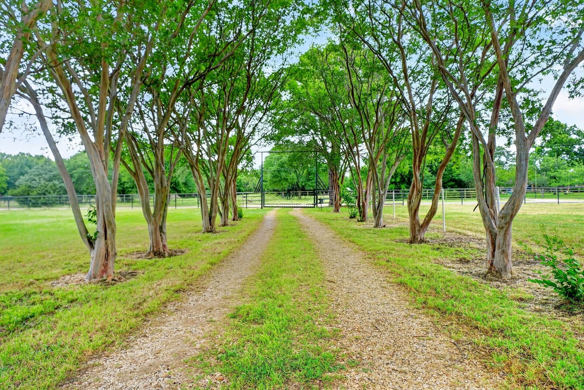 10 acres in Van Zandt County gallery image 2
