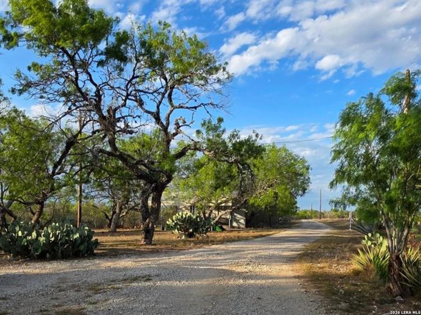 10 acres in Wilson County - photo 22