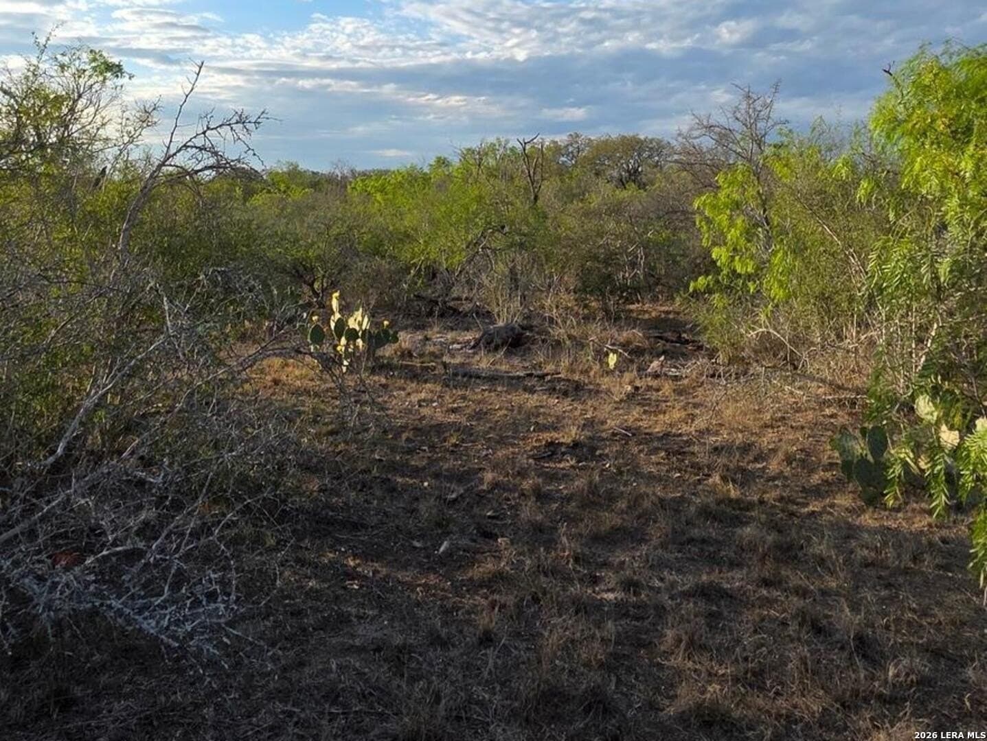 10 acres in Wilson County - photo 19