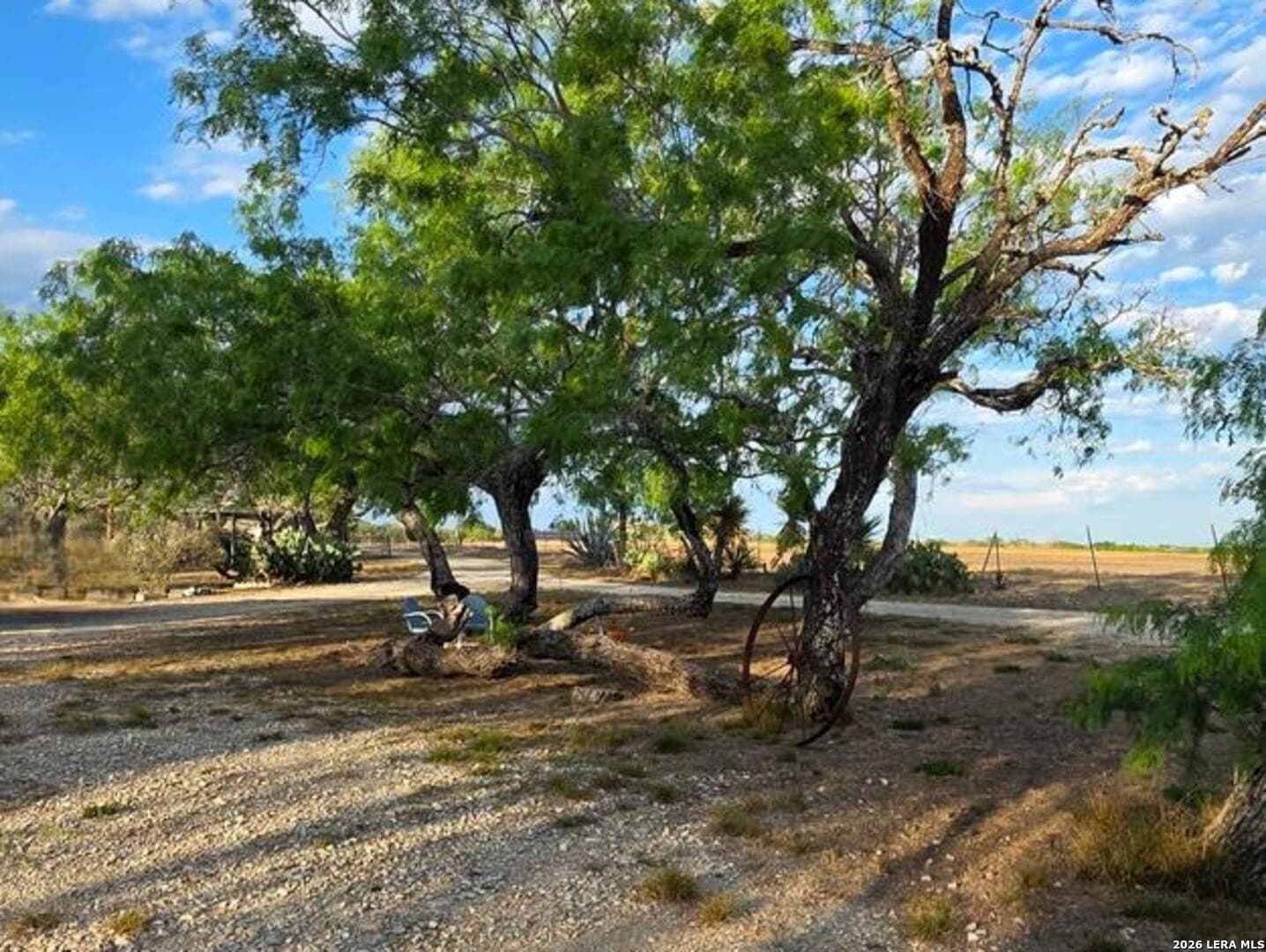 10 acres in Wilson County - photo 21
