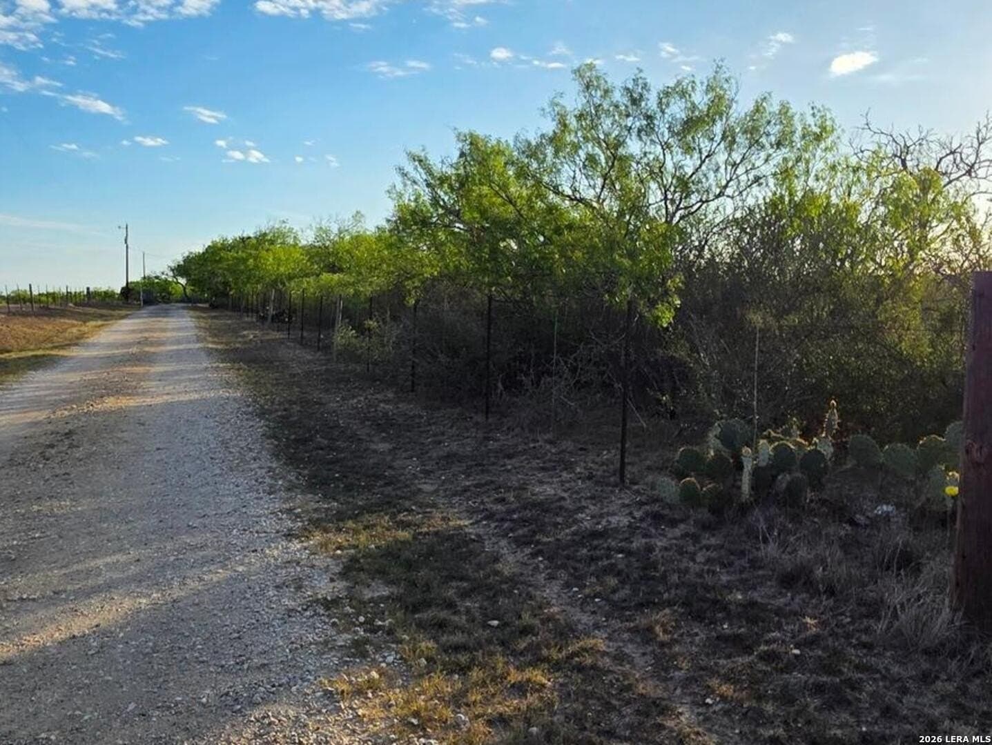 10 acres in Wilson County - photo 20