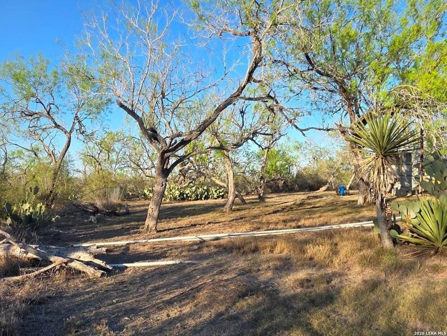 10 acres in Wilson County - photo 24