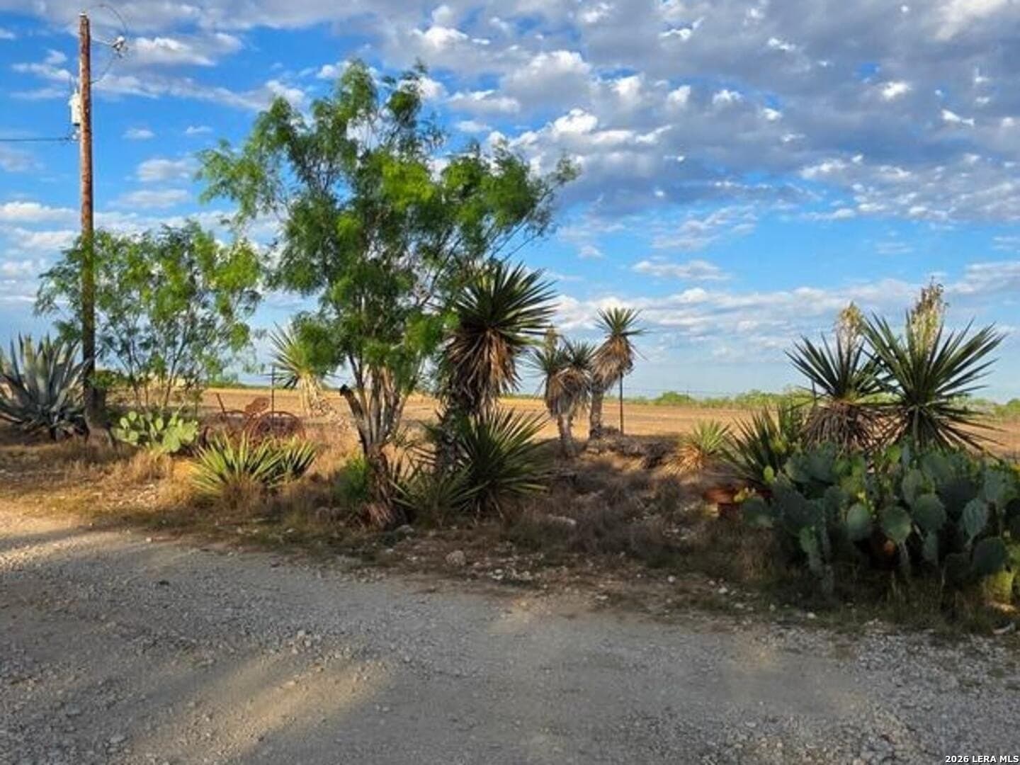 10 acres in Wilson County - photo 23