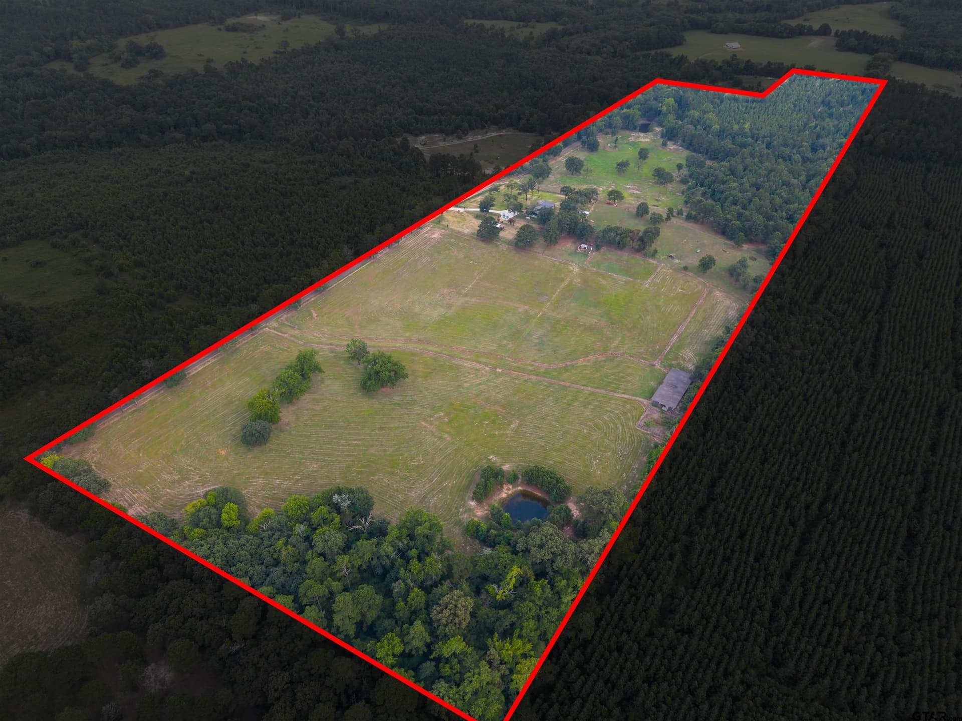 55.78 acres in Upshur County featured view