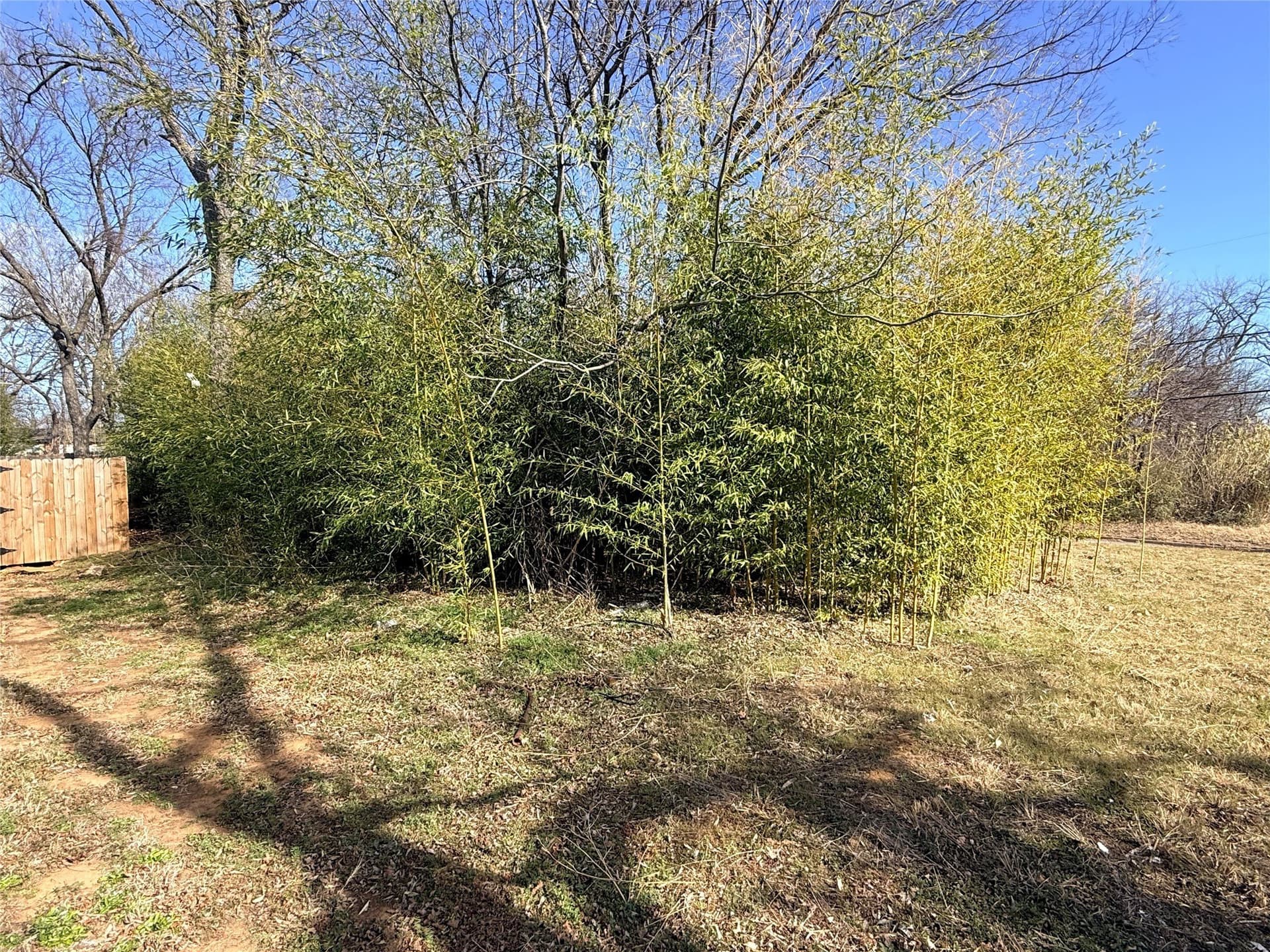0.09 acres in Grayson County - photo 16