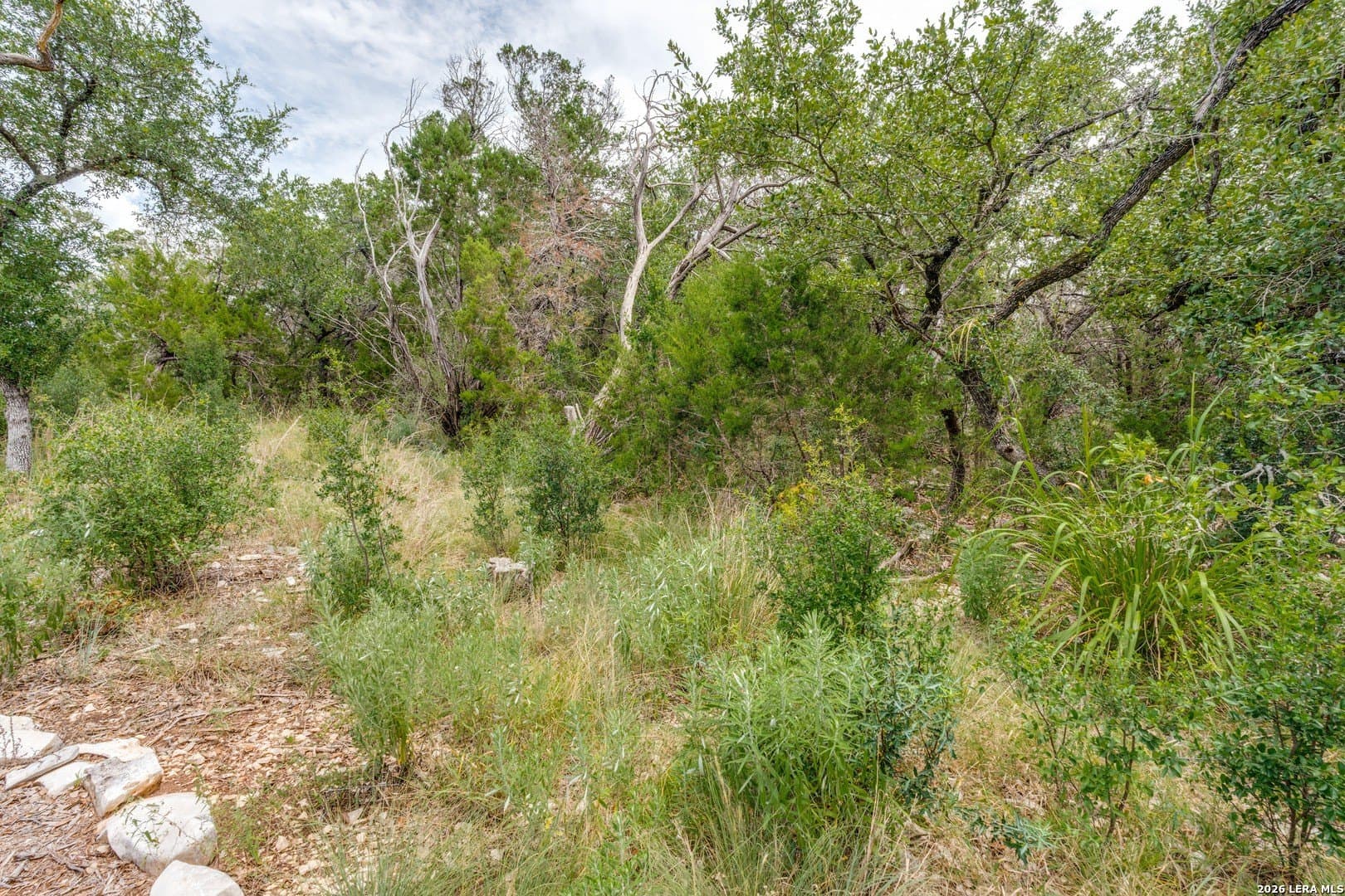 1.01 acres in Comal County - photo 9