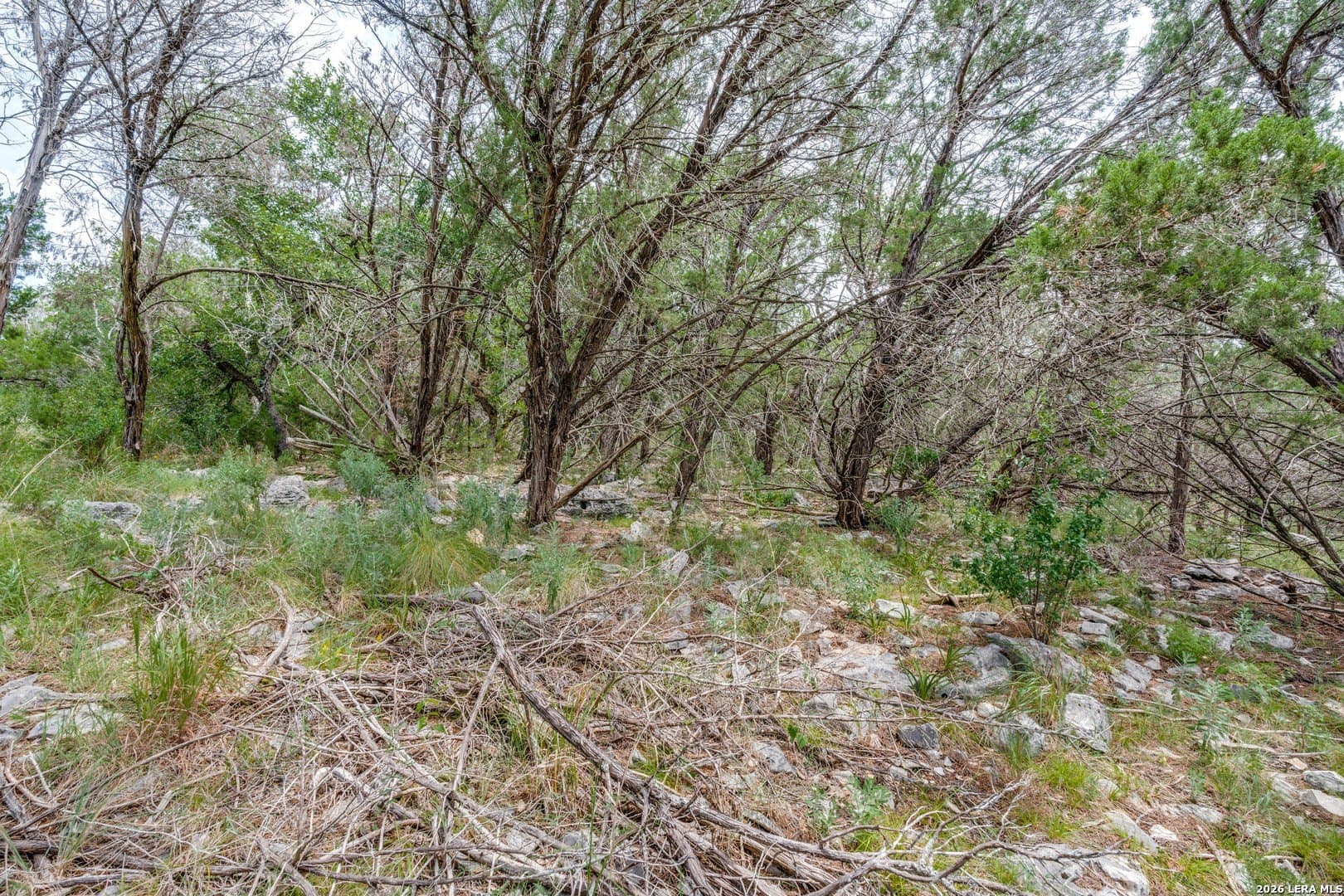1.01 acres in Comal County - photo 12