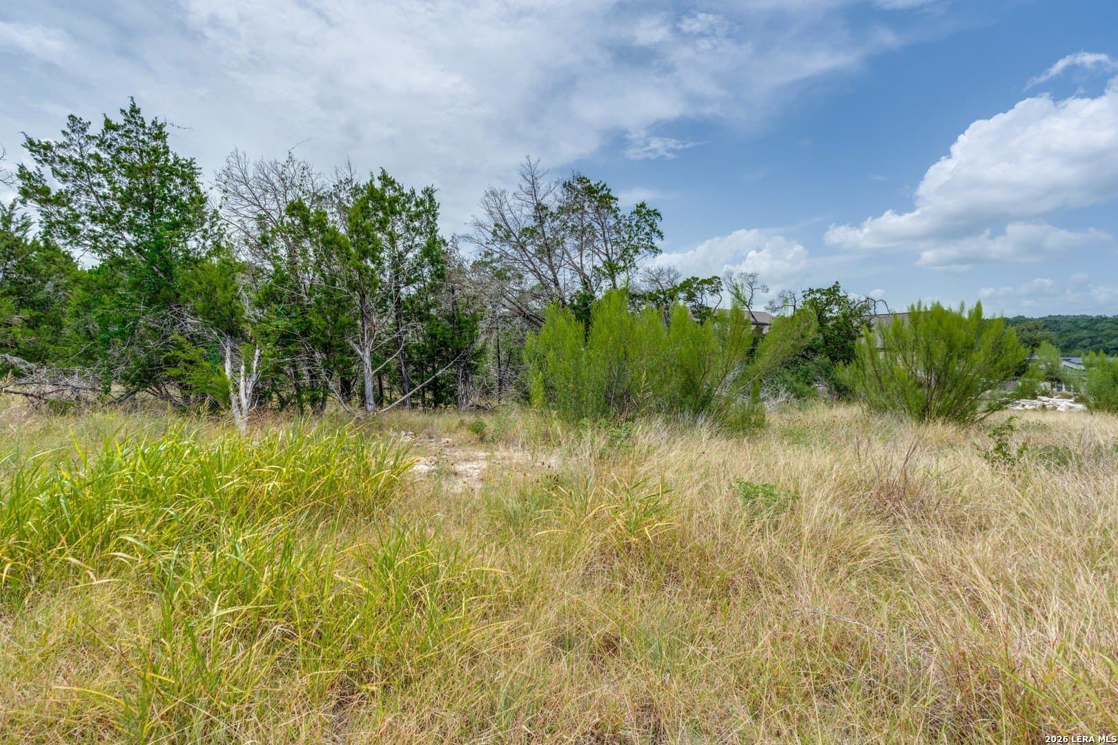 1.01 acres in Comal County - photo 8