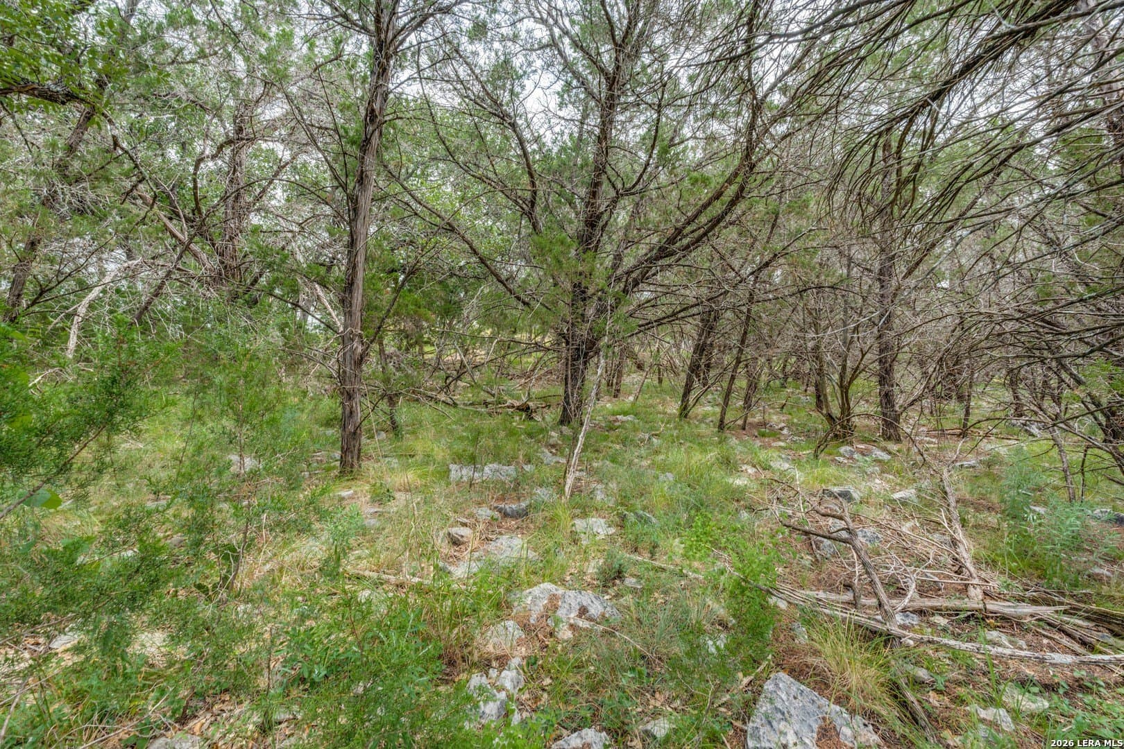 1.01 acres in Comal County - photo 11