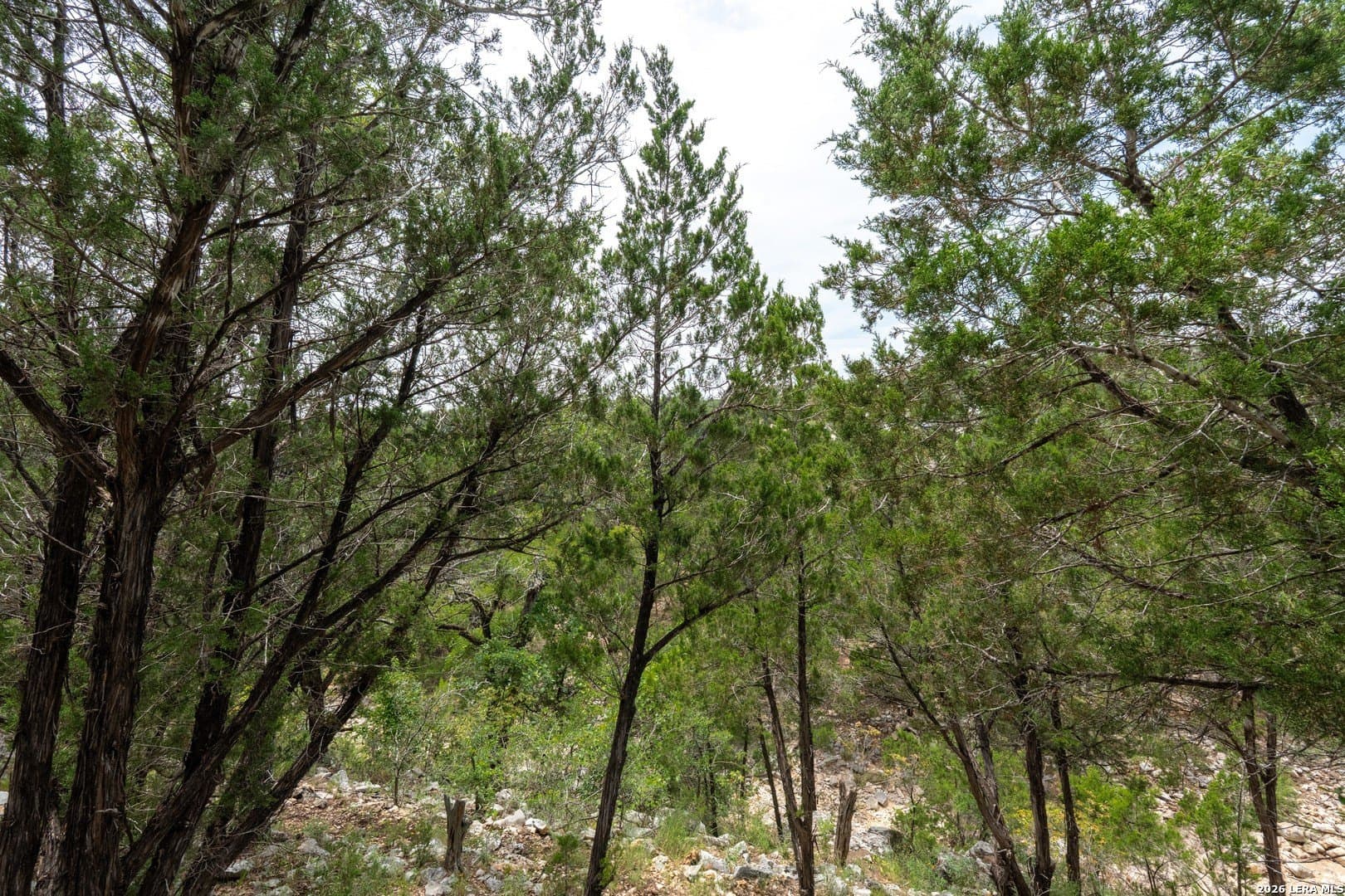 1.01 acres in Comal County - photo 10