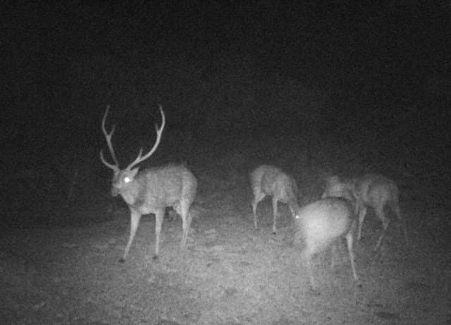 273 acres in Edwards County - photo 6