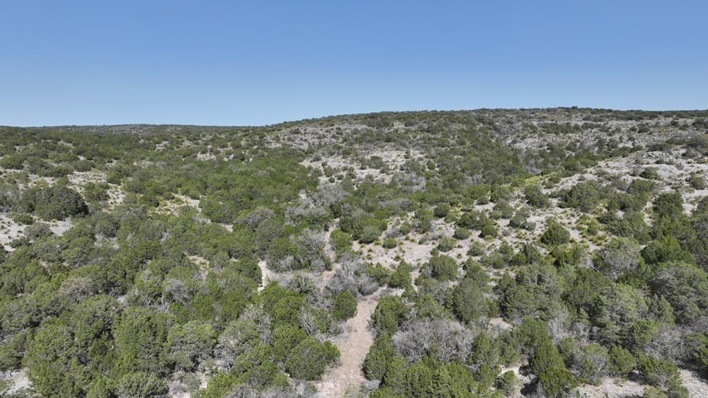 273 acres in Edwards County - photo 8