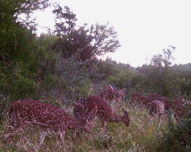 273 acres in Edwards County - photo 7