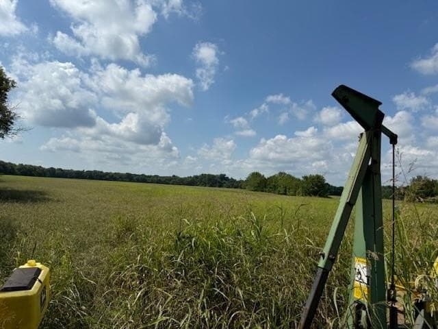 77 acres in Hunt County gallery image 2