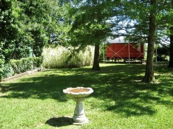 3 acres in Lamar County