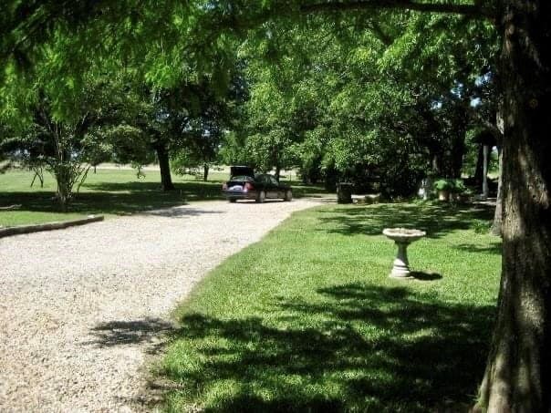 3 acres in Lamar County - photo 2