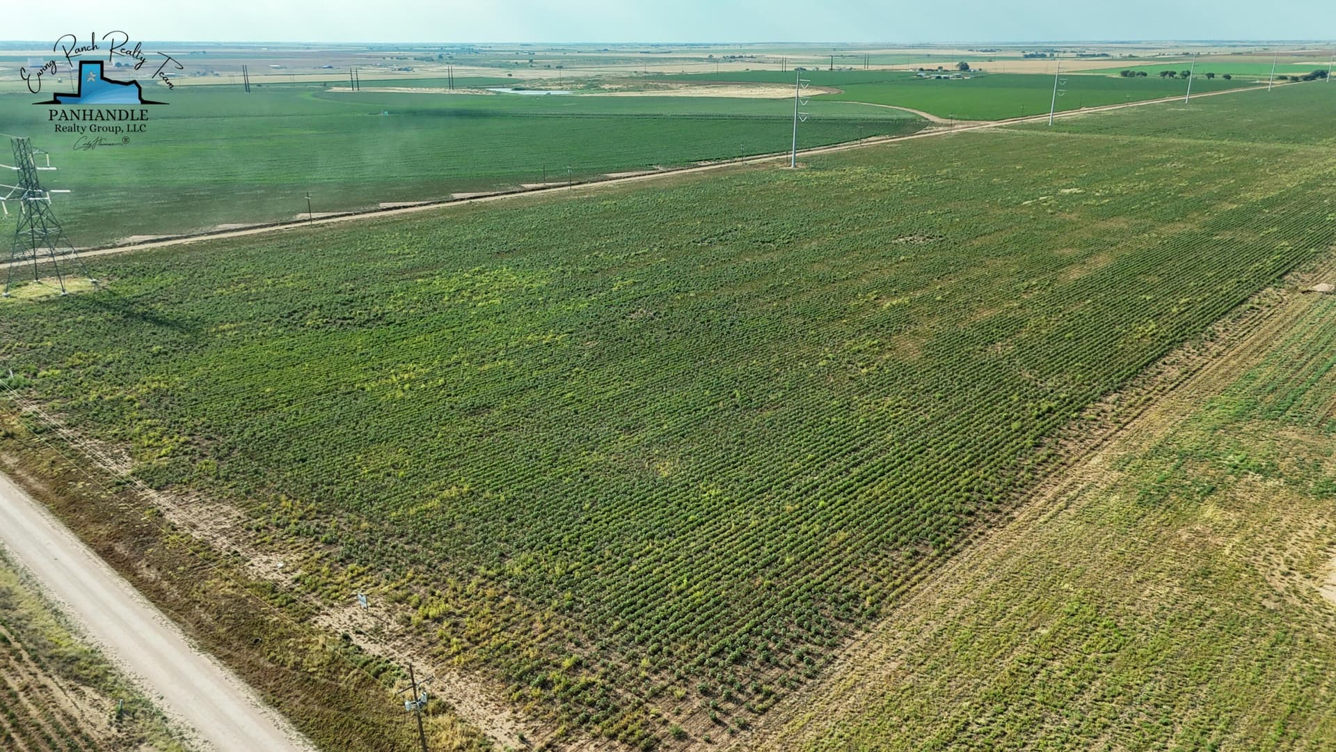 10.01 acres in Lubbock County gallery image 3