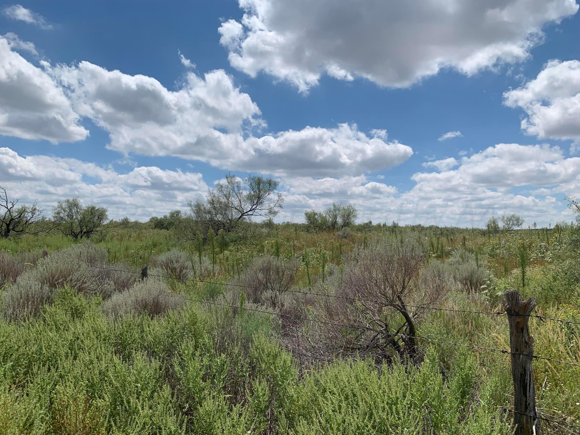 17.39 acres in Potter County gallery image 4