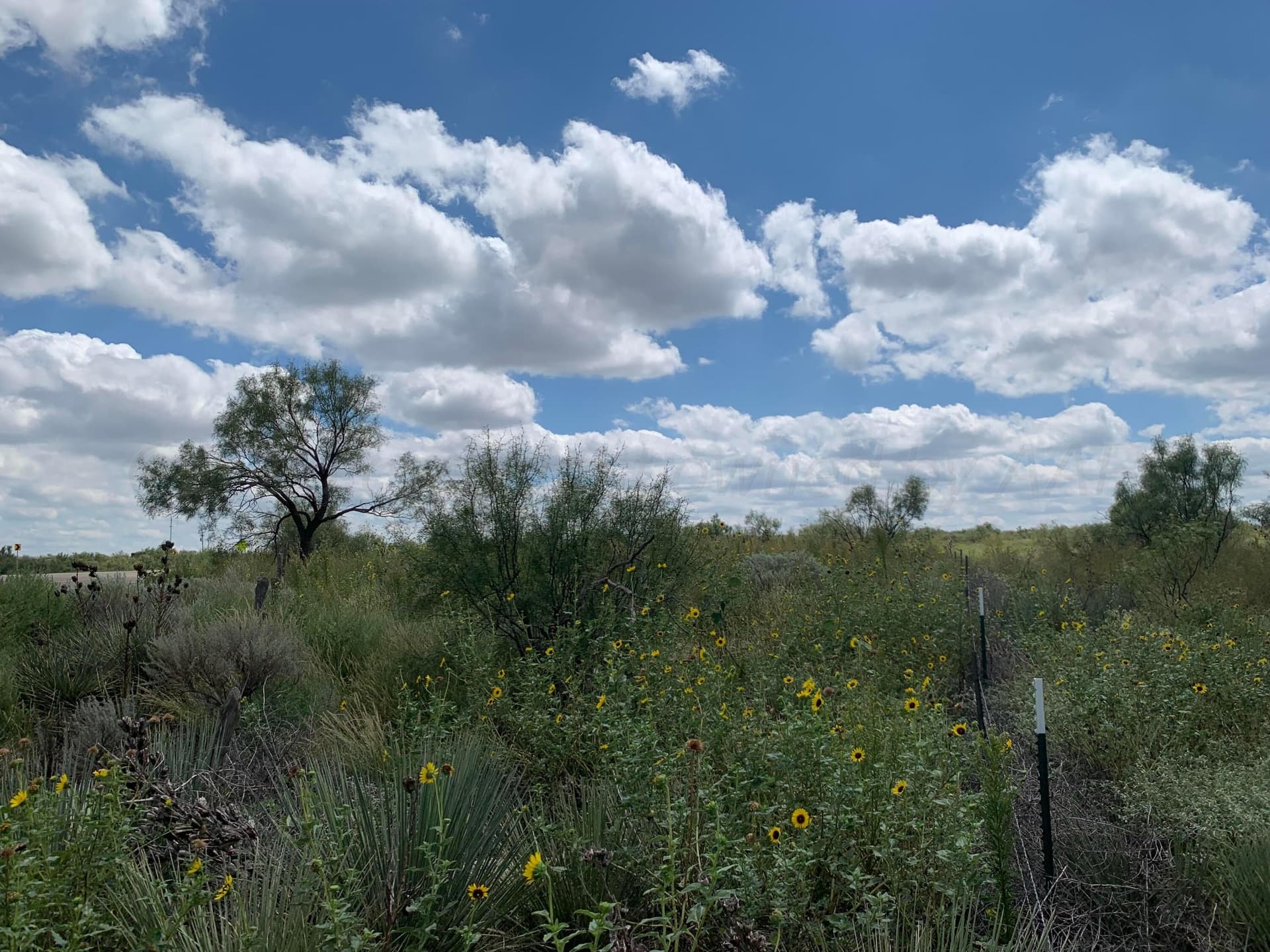 17.39 acres in Potter County gallery image 3