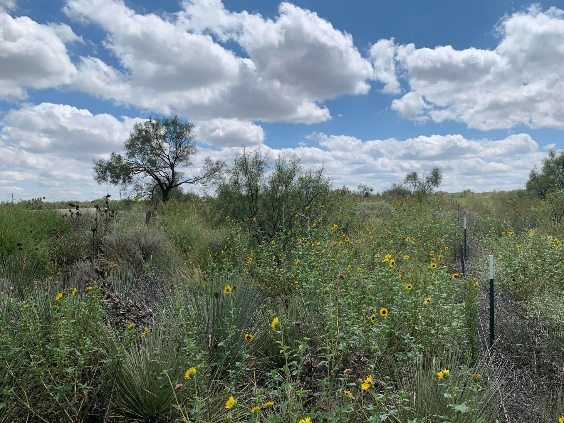 17.39 acres in Potter County - photo 6
