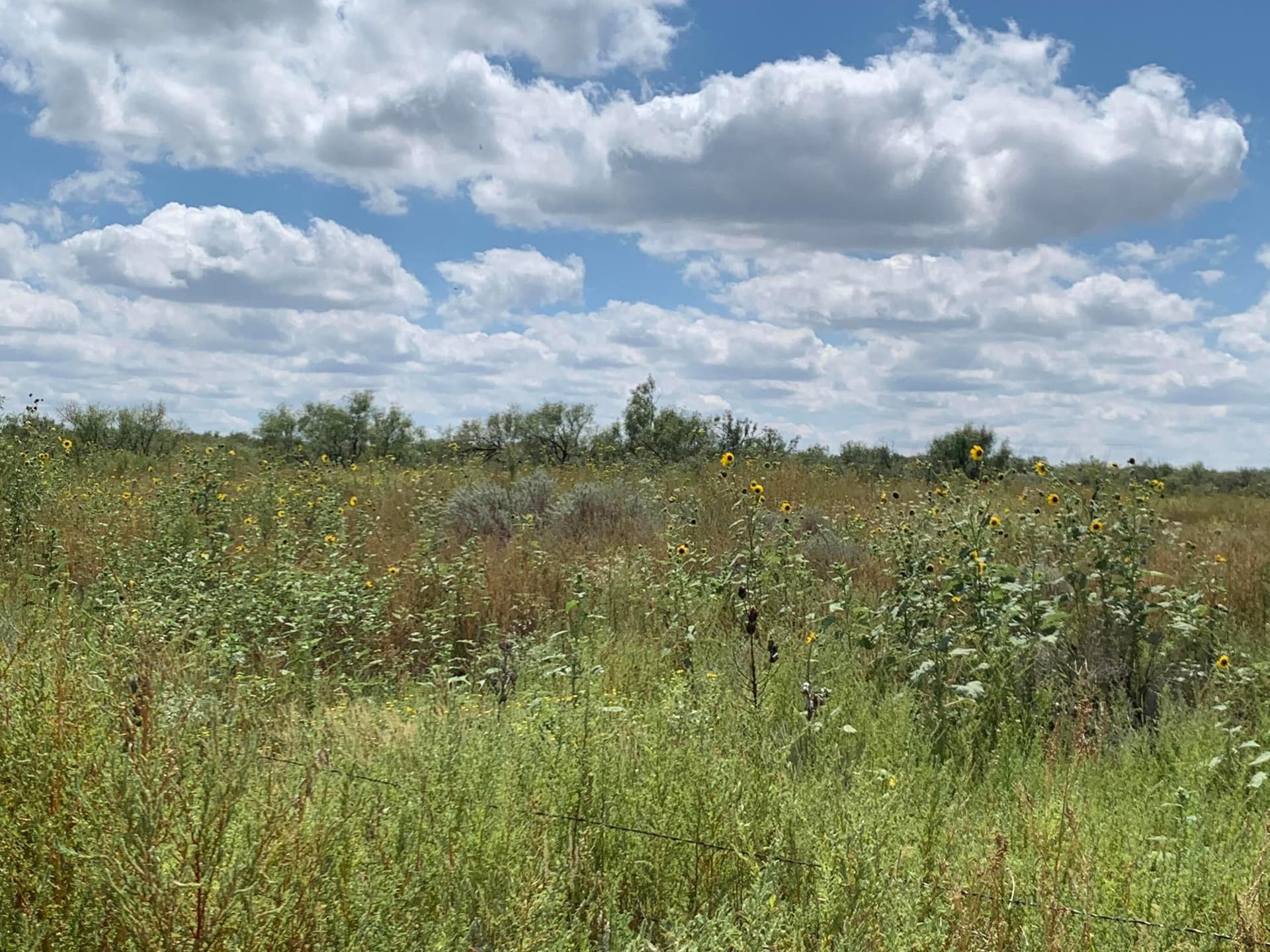 17.39 acres in Potter County featured view
