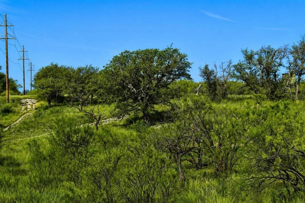 60 acres in McCulloch County featured view