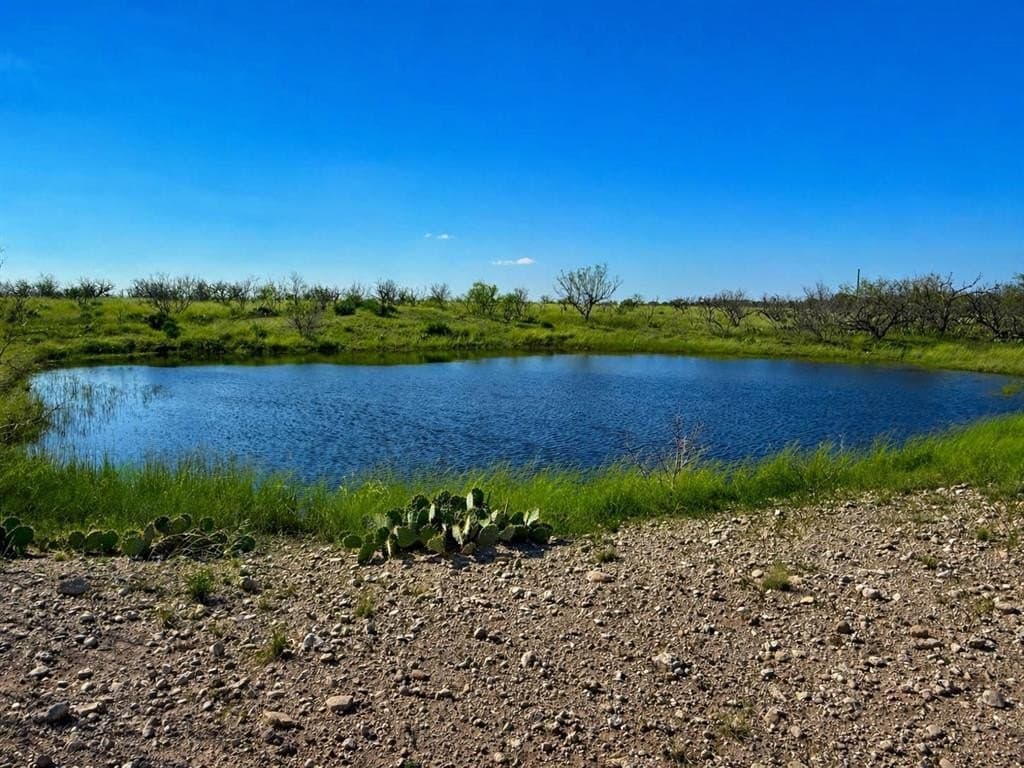 60 acres in McCulloch County gallery image 2