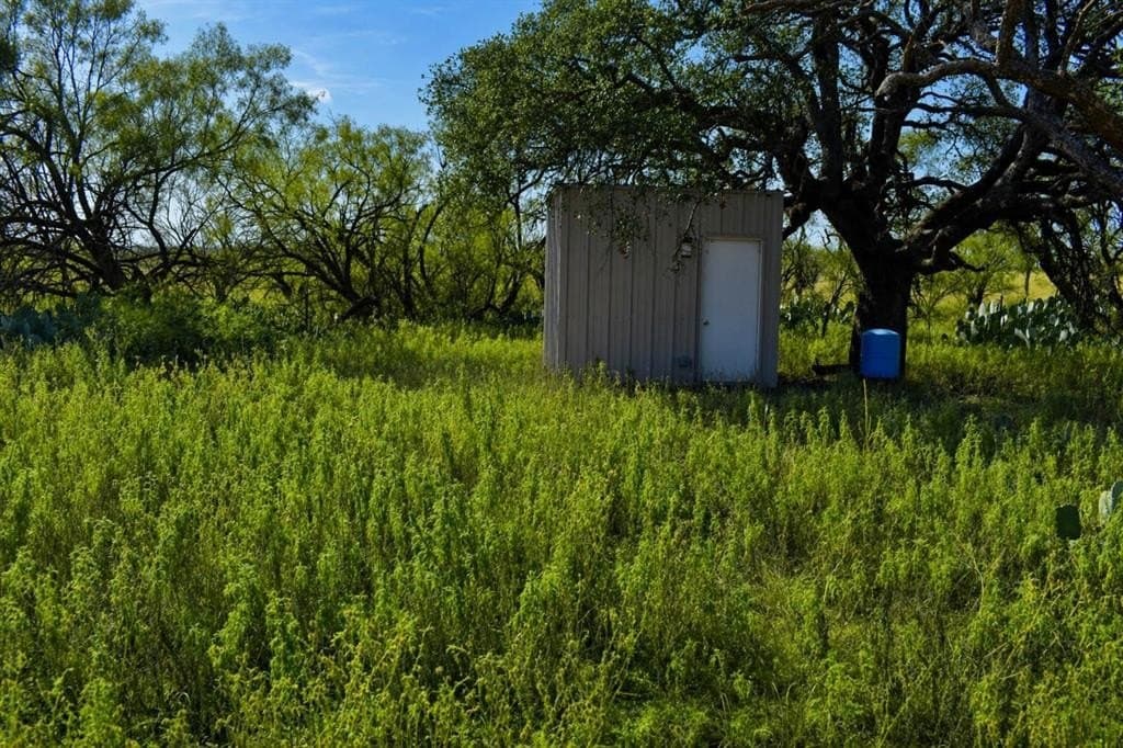 60 acres in McCulloch County gallery image 3