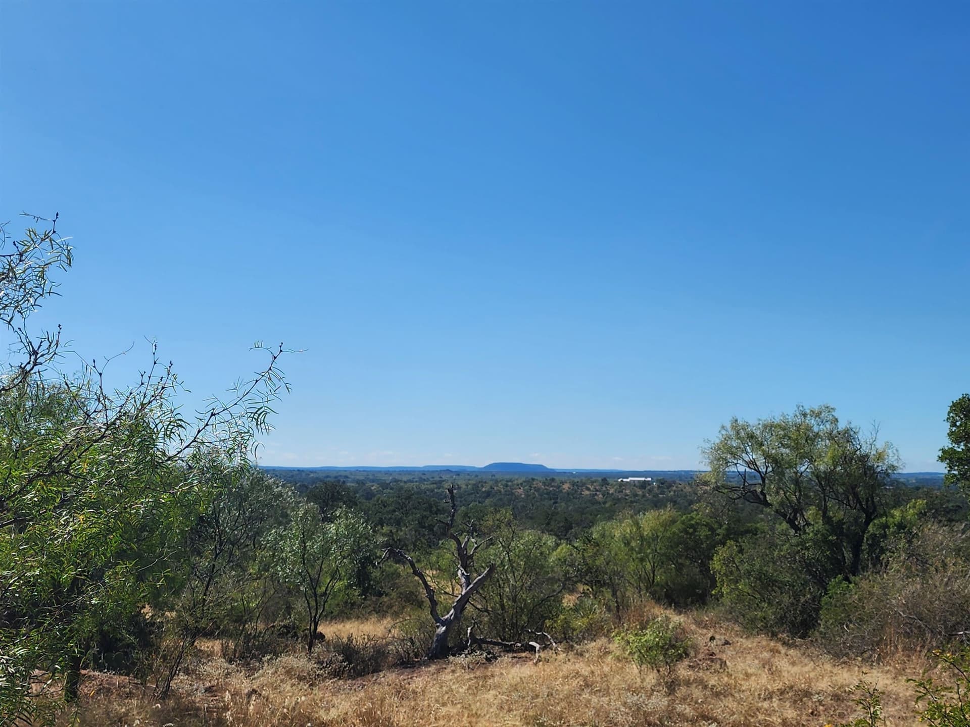 30 acres in Llano County - photo 6