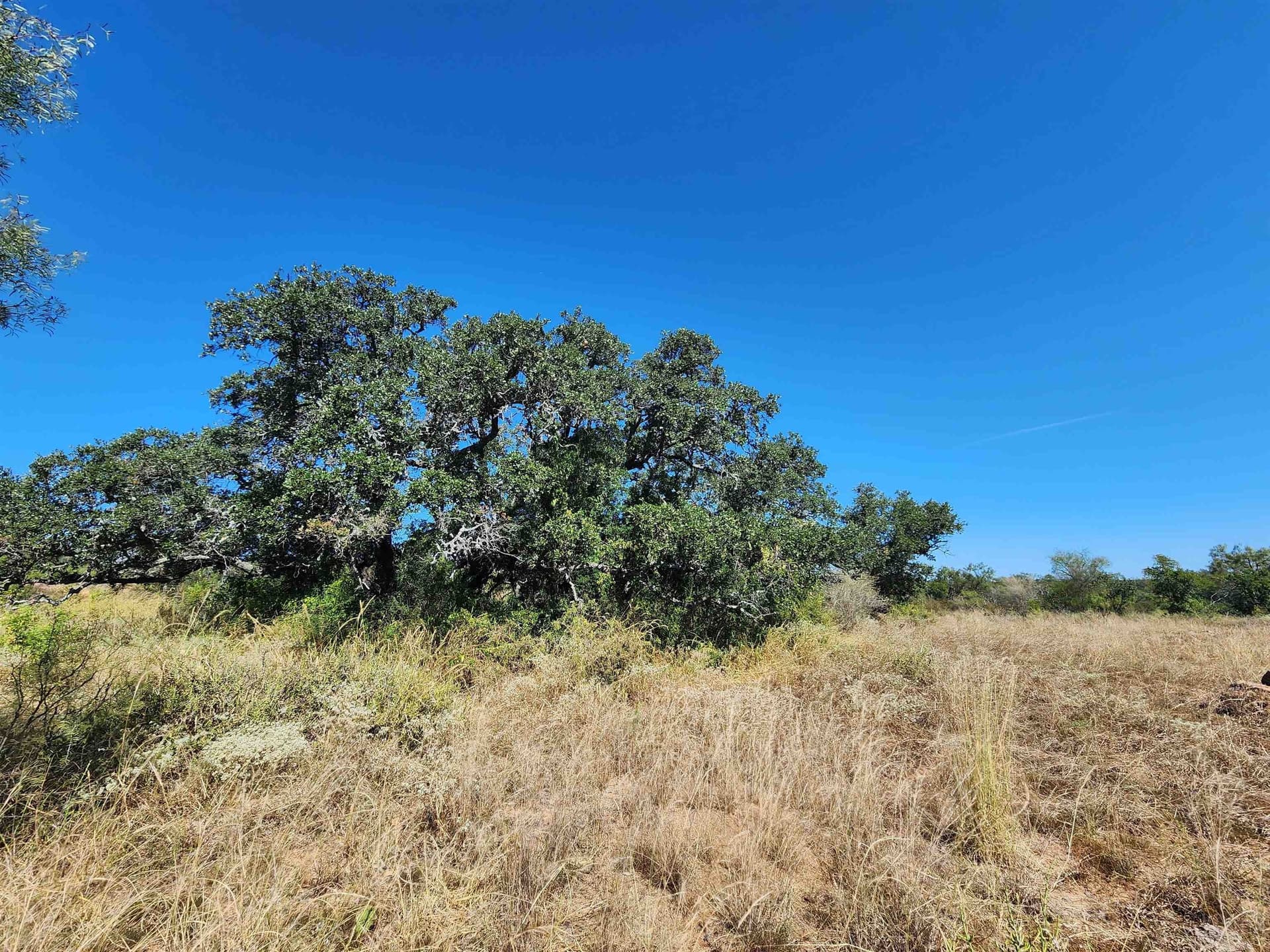 30 acres in Llano County