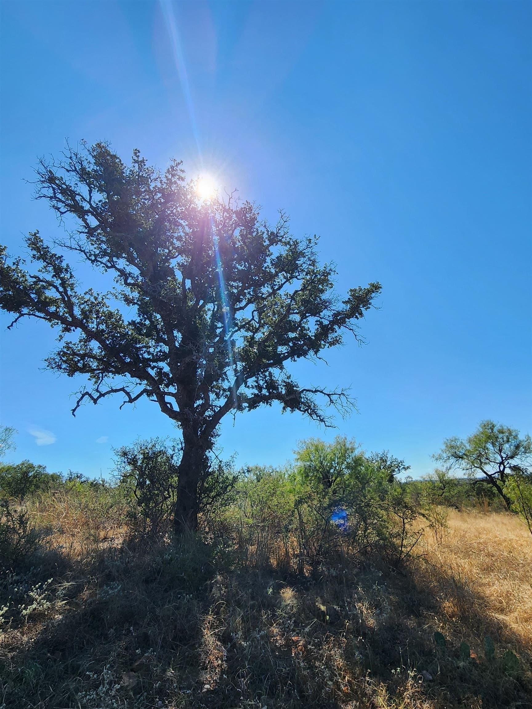 30 acres in Llano County - photo 8