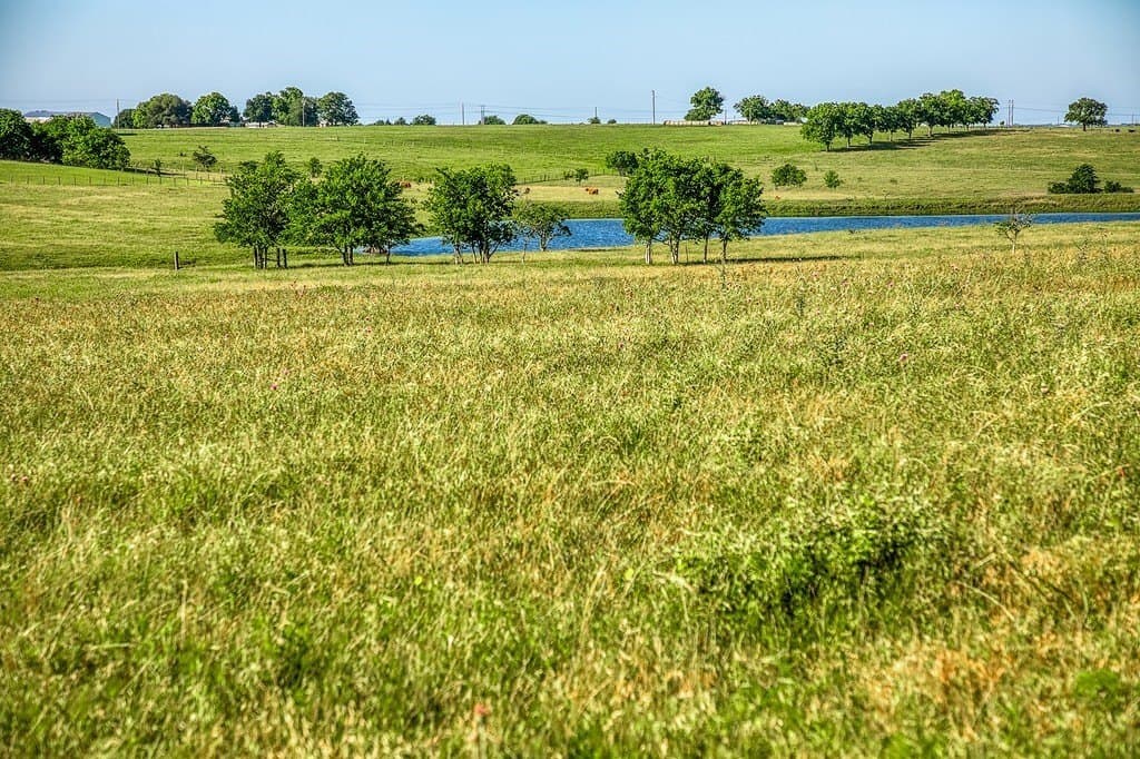 13.45 acres in Washington County - photo 6