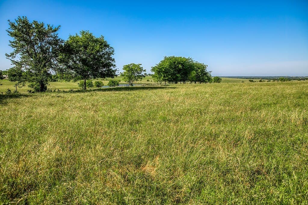 13.45 acres in Washington County - photo 5