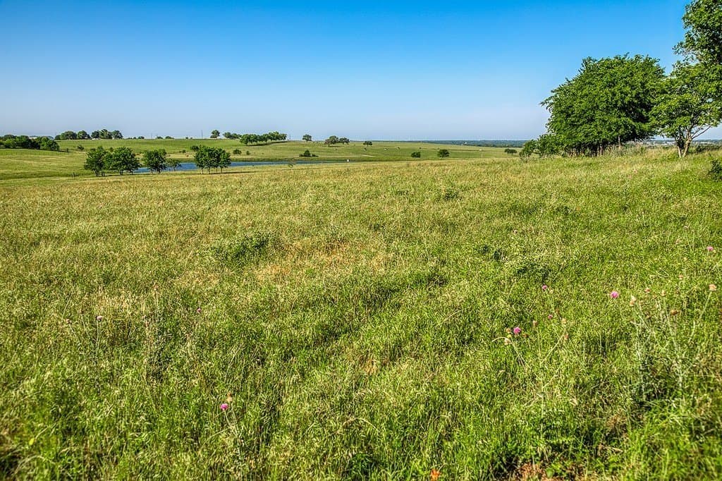 13.45 acres in Washington County - photo 3