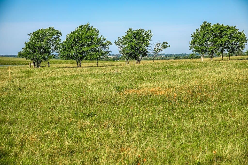 13.45 acres in Washington County - photo 4