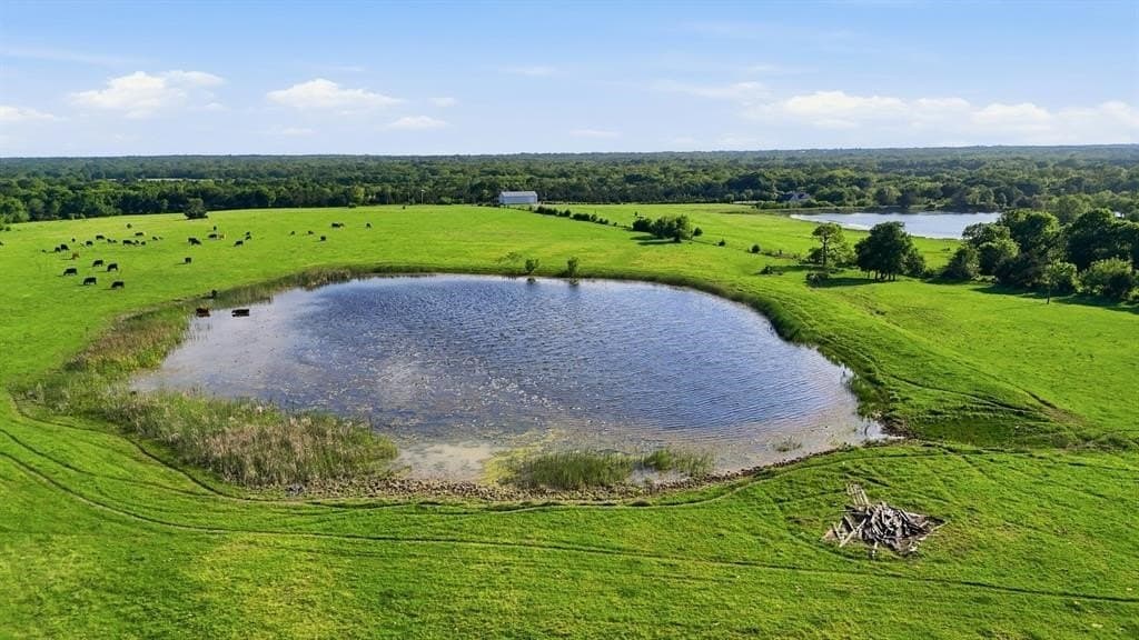 231.65 acres in Hunt County - photo 18