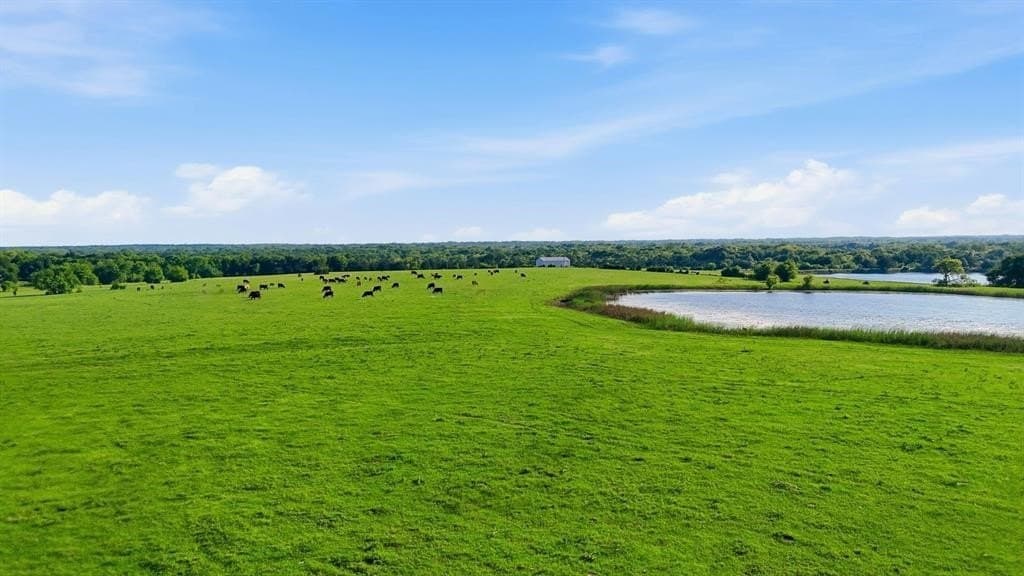 231.65 acres in Hunt County - photo 29