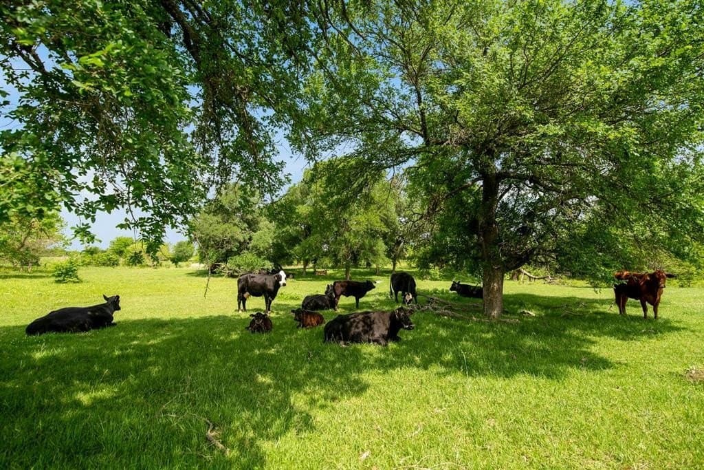 231.65 acres in Hunt County - photo 23