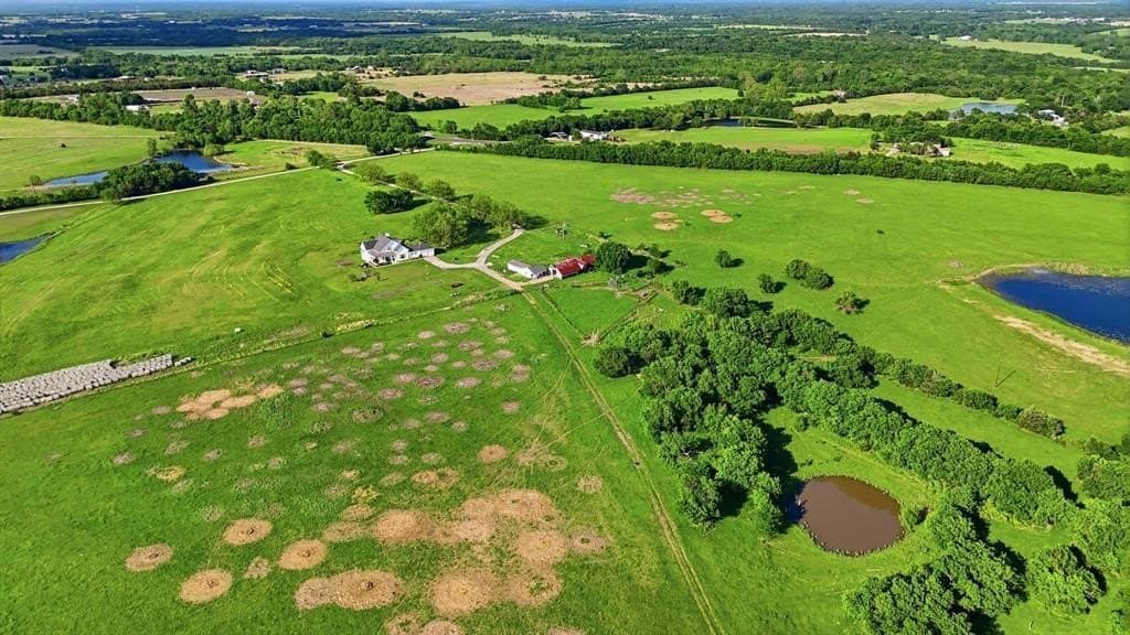 231.65 acres in Hunt County - photo 24