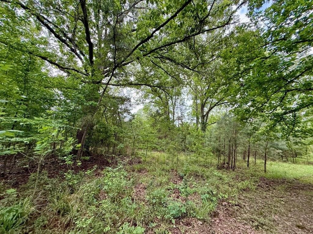 33 acres in Texas County - photo 86