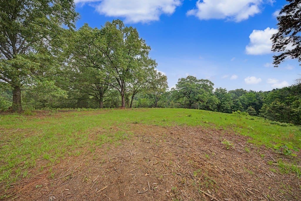 33 acres in Texas County - photo 43